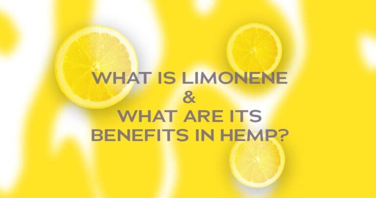 What is Limonene & What are its Benefits?