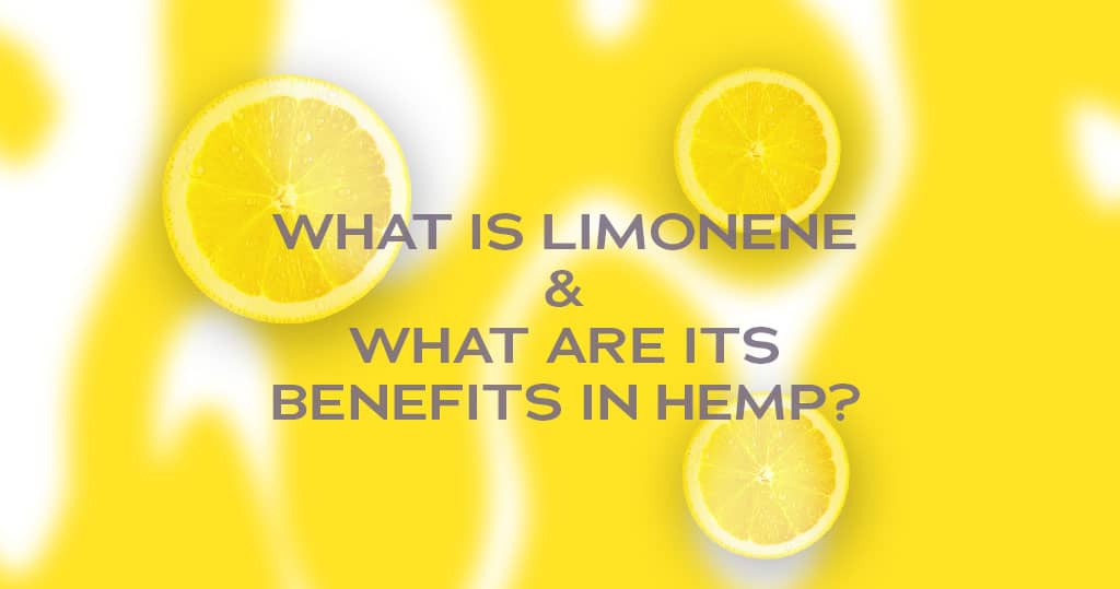 WHat is Limonene and What are its Benefits?