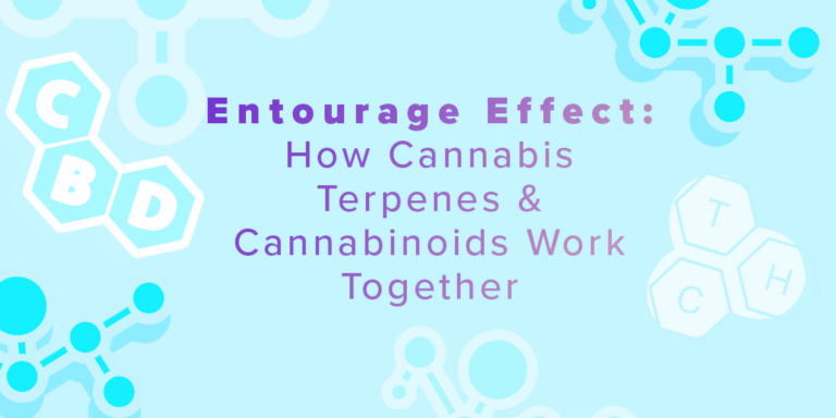Entourage Effect: How Cannabis Terpenes & Cannabinoids Work Together