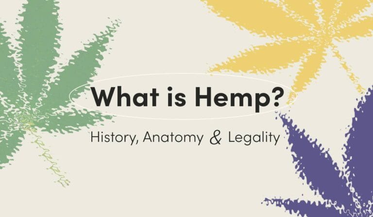 What Is Hemp? – History, Anatomy, Legality