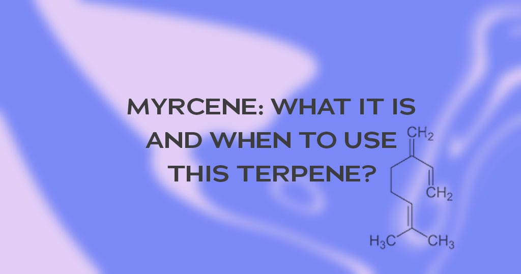 Myrcene: What It Is and When To Use This Terpene?