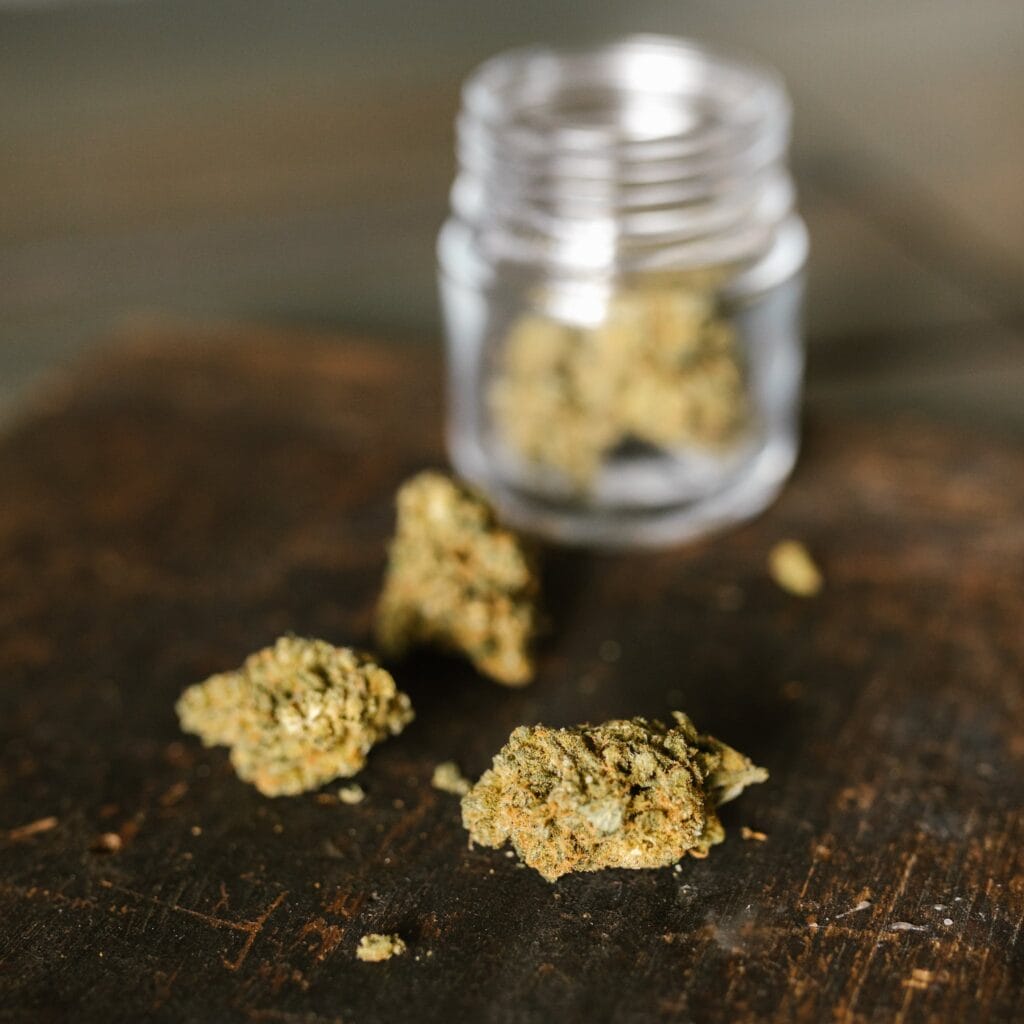 Close-Up Shot of Marijuana